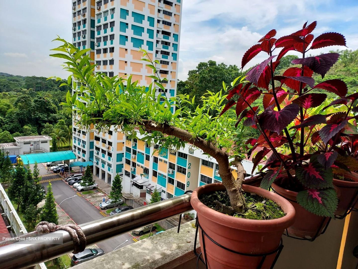 Blk 213 Petir Road (Bukit Panjang), HDB 5 Rooms #566298171